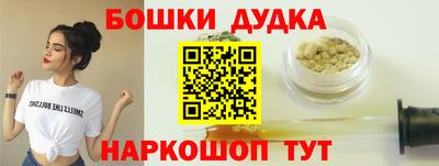 индика Краснознаменск