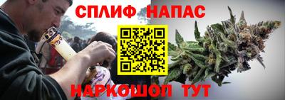 индика Краснознаменск
