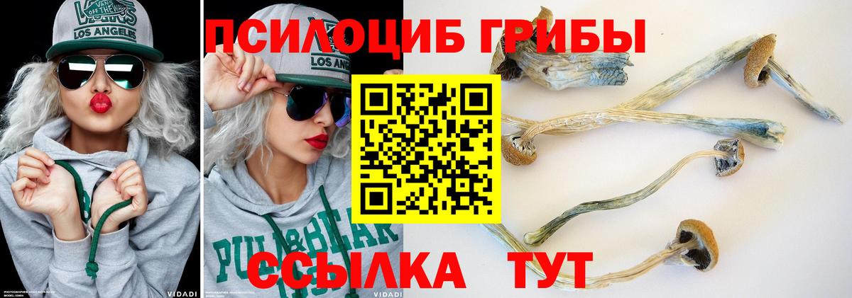 Галлюциногенные грибы прущие грибы  Вход с VPN  Псилоцибиновые грибы Cubensis  Заречный 